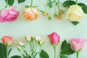 『母の日、大切なお母様に心からの感謝を込めて、素敵な暮らしを...のイメージ
