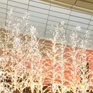 『冬のひんやりした空気を楽しみながら、住まいを見直すチャンス...のイメージ