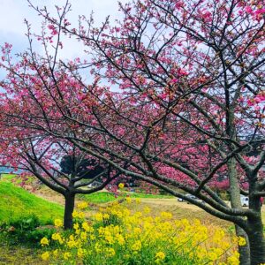 『春のリフォームで新しい暮らしを始めませんか？』のイメージ